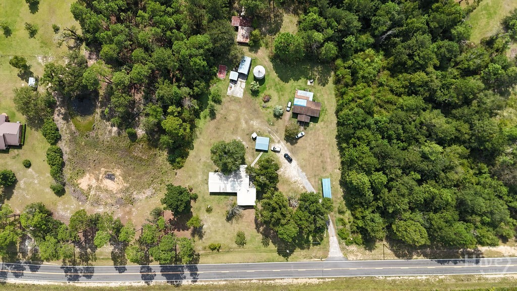 2618 Ga Highway 86 Property Photo 61