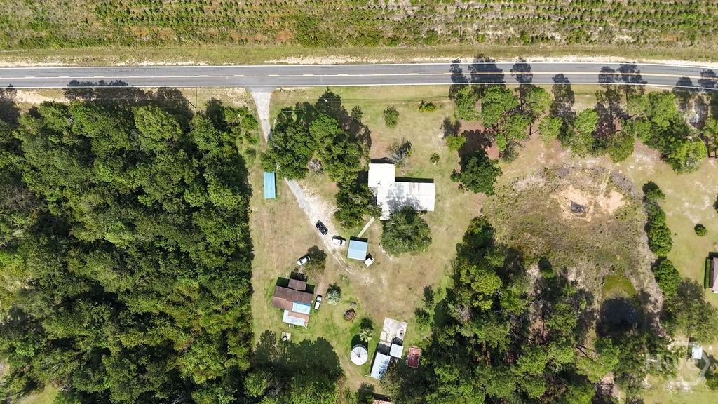 2618 Ga Highway 86 Property Photo 63