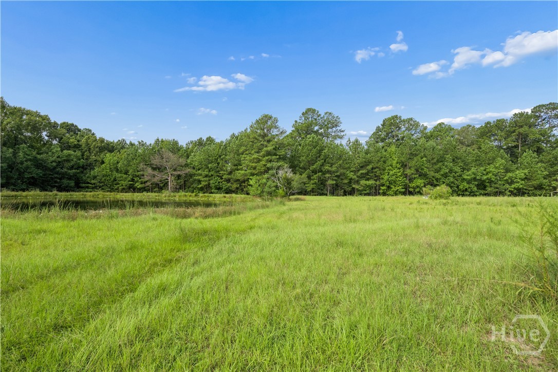 426 Adams Road Property Photo 54