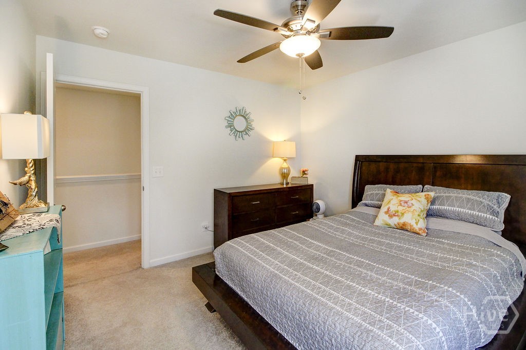 8 Hawkhorn Court Property Photo 42