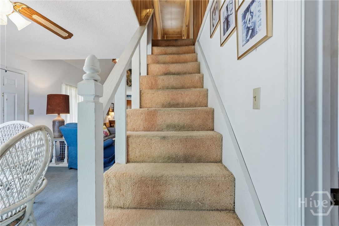 7 Linton Street Property Photo 41