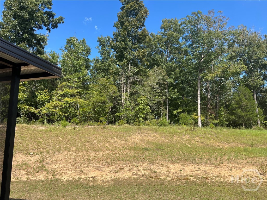 224 Dream Catcher Drive Property Photo 3