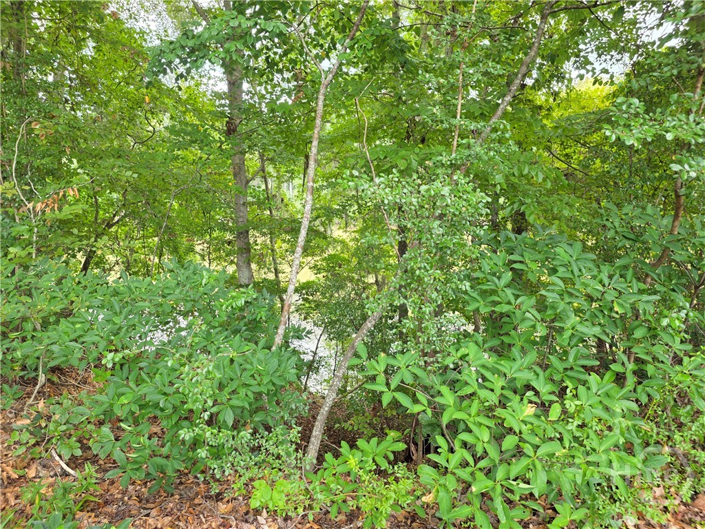 Lot 5 Seines Landing Drive Property Photo 14