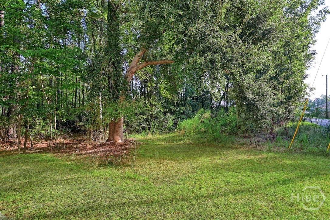92 Futrell Lane Property Photo 33