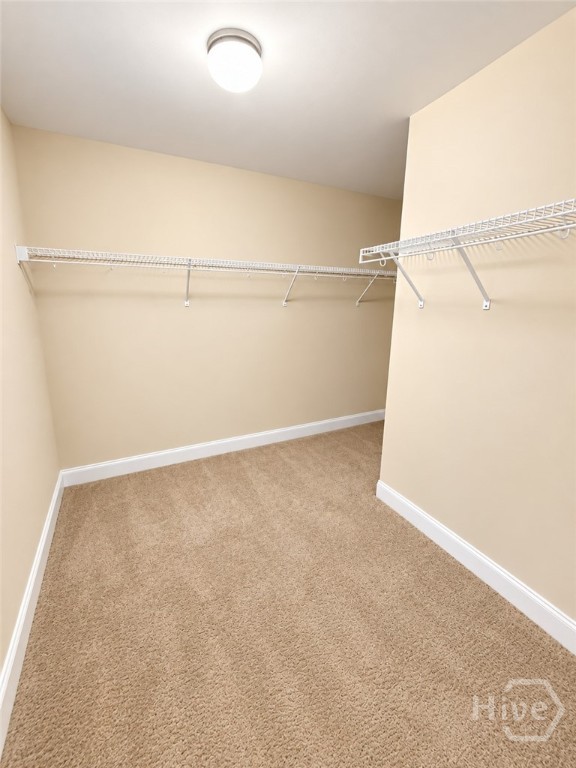 31 Abaco Court Property Photo 17