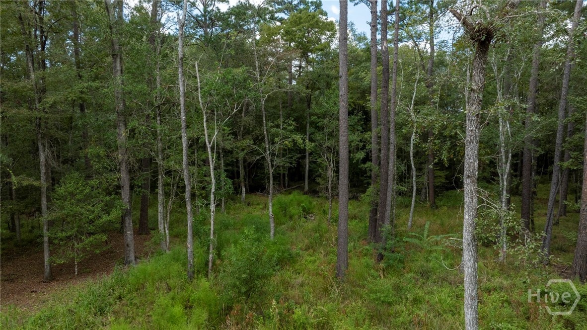 315 Polly Branch Drive Property Photo 27