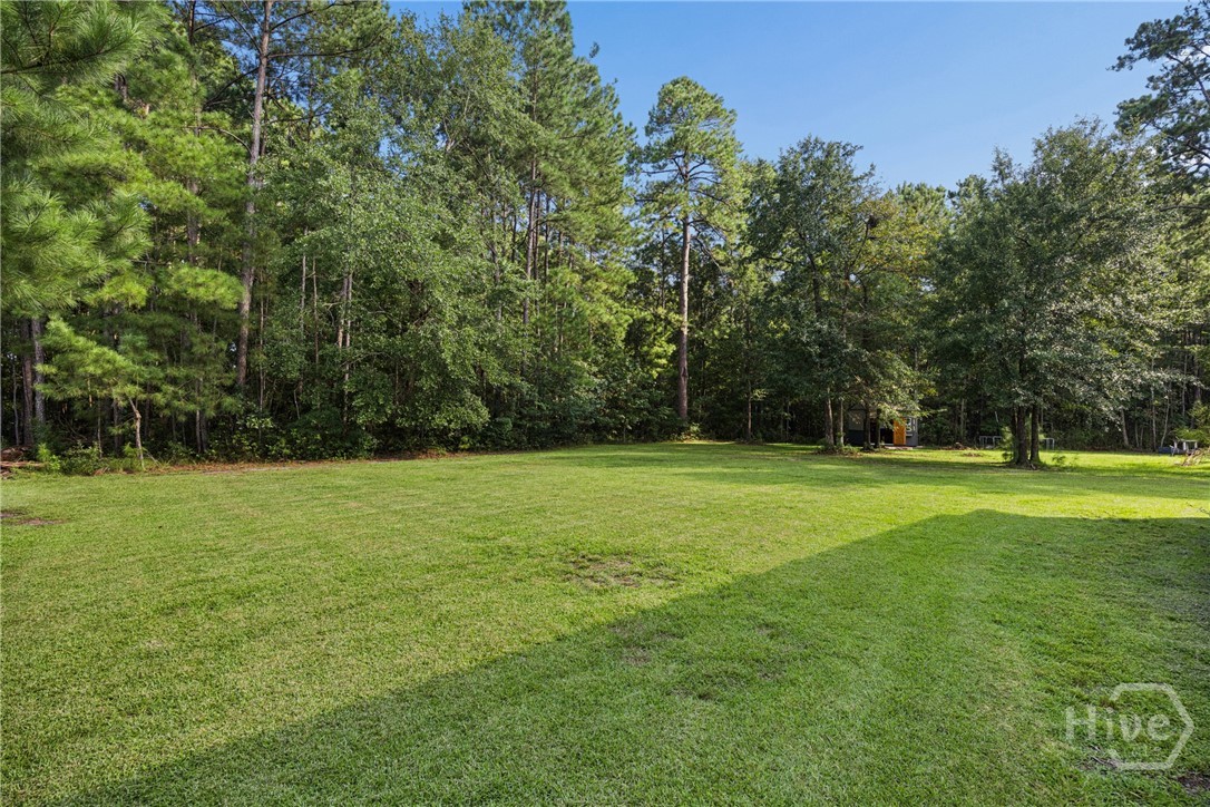 166 Moor Hen Landing Property Photo 38