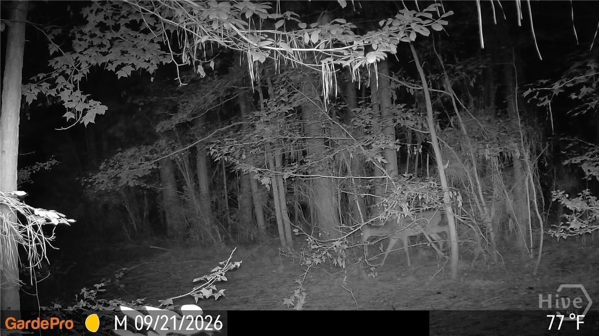 114 Riley Court Property Photo 10