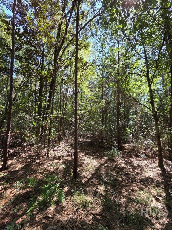 114 Riley Court Property Photo 23