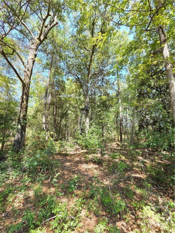 114 Riley Court Property Photo 24