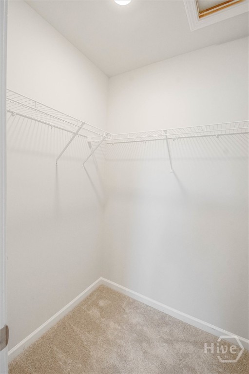 247 Lillian Street Property Photo 45