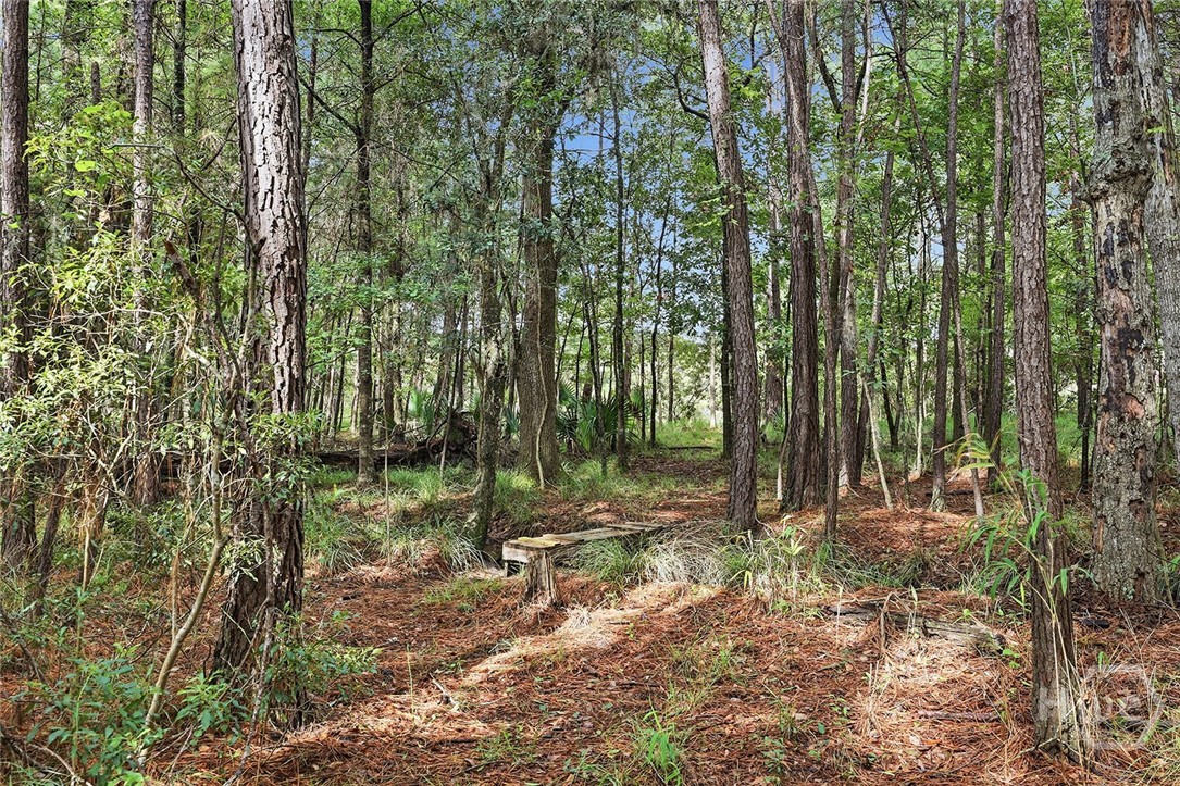 42 Chapel Lake N Property Photo 50