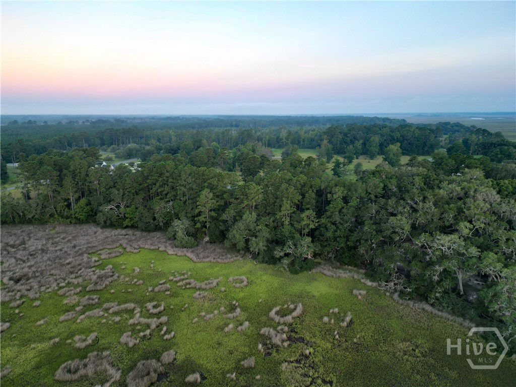Lot #7 Baker Island Way Ne Property Photo 5