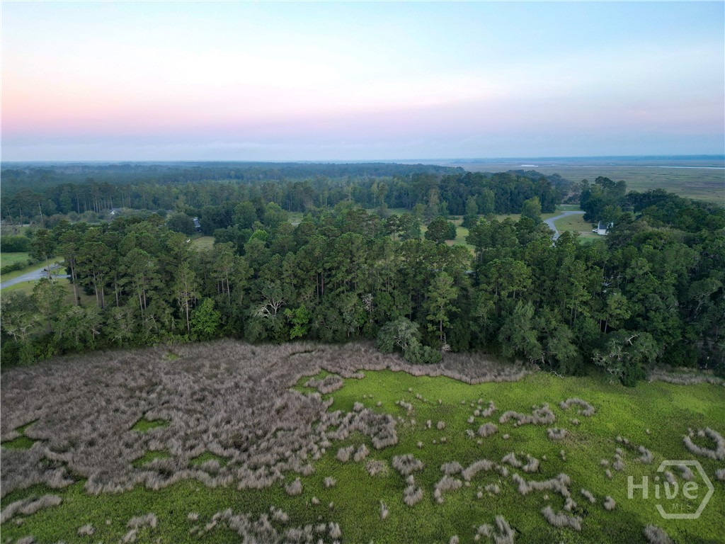 Lot #7 Baker Island Way Ne Property Photo 6
