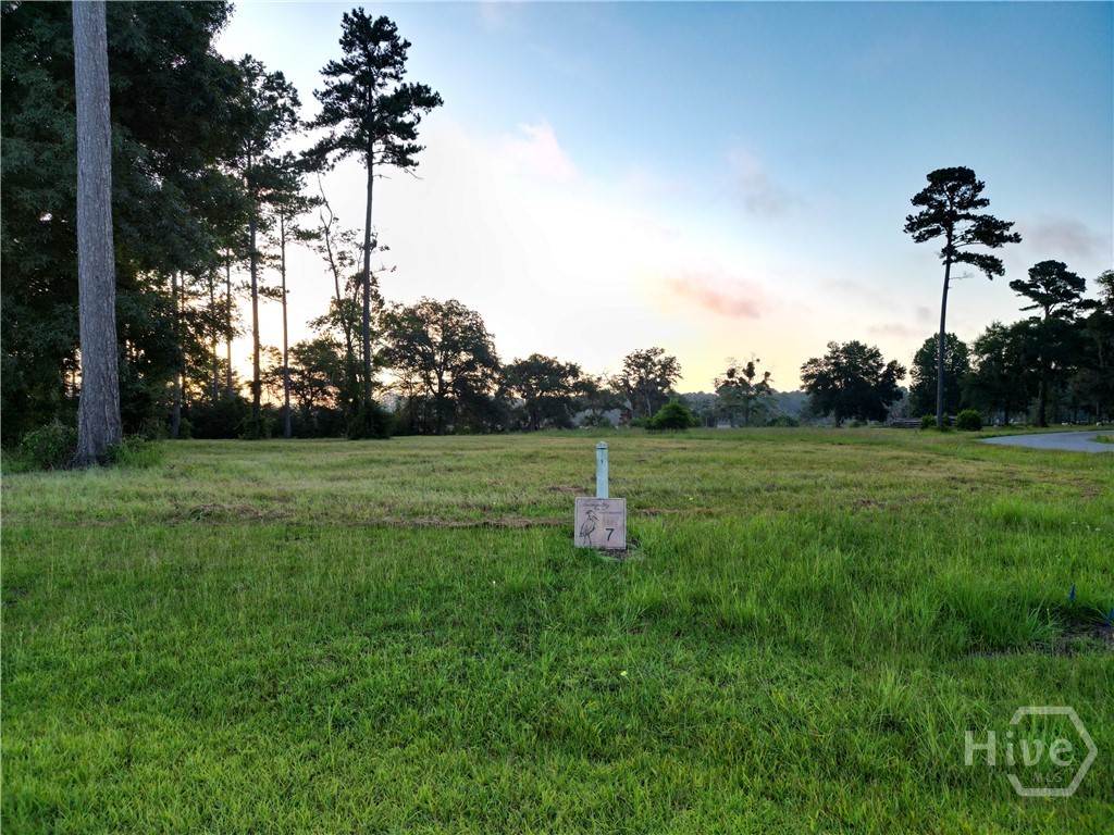 Lot #7 Baker Island Way Ne Property Photo 10