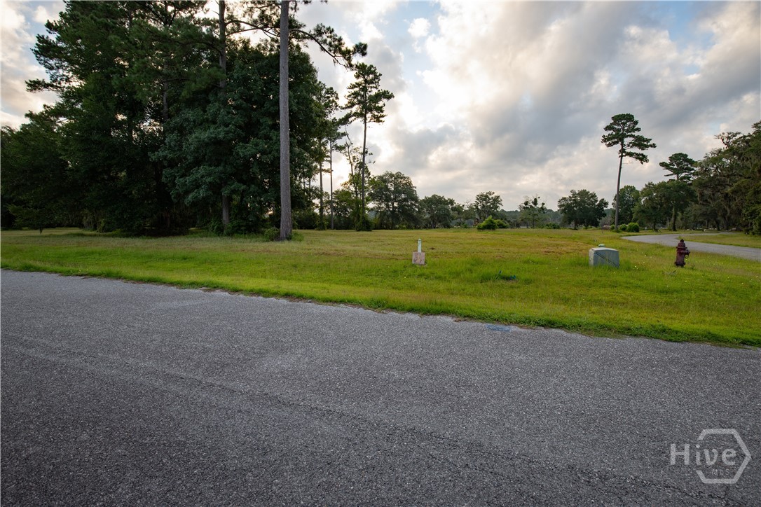 Lot #7 Baker Island Way Ne Property Photo 13