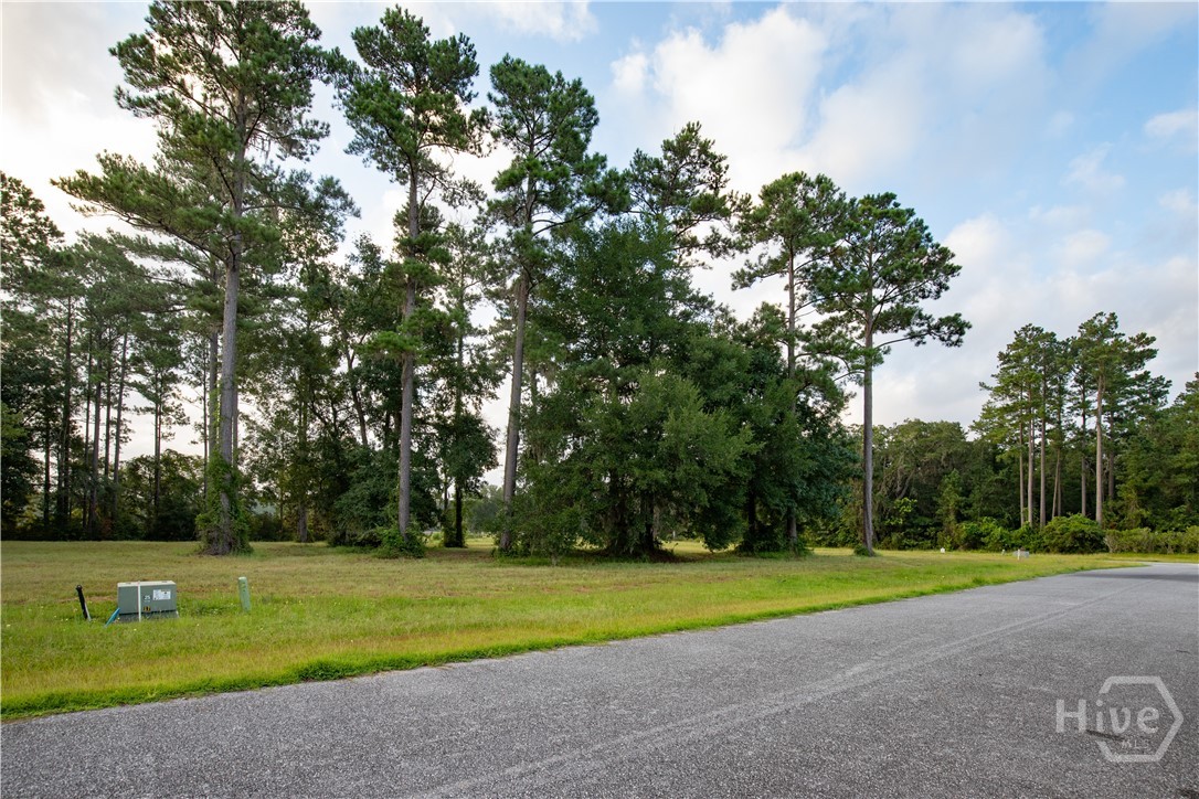 Lot #7 Baker Island Way Ne Property Photo 14