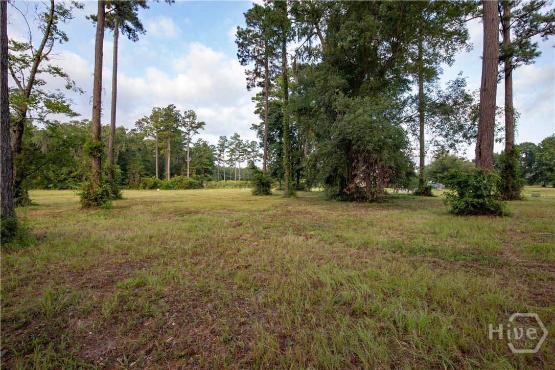 Lot #7 Baker Island Way Ne Property Photo 15
