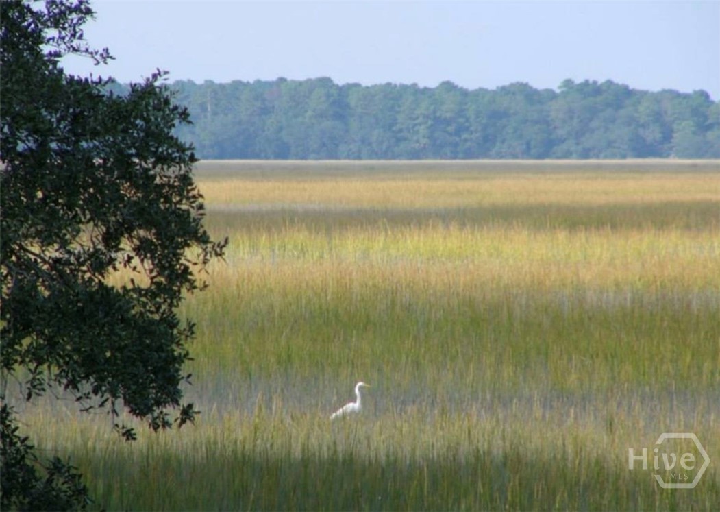 Lot #7 Baker Island Way Ne Property Photo 20