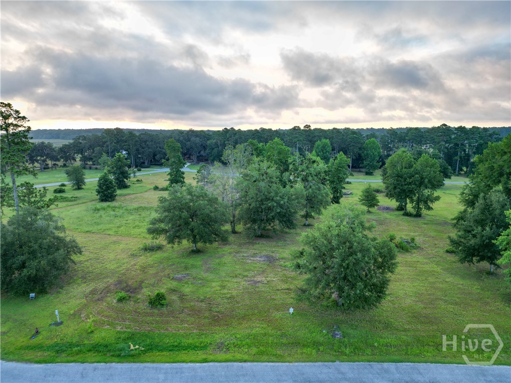 Lot #29 Tranquility Place Ne Property Photo 11