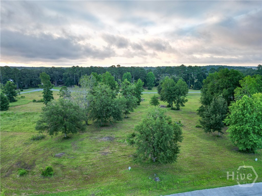 Lot #29 Tranquility Place Ne Property Photo 13