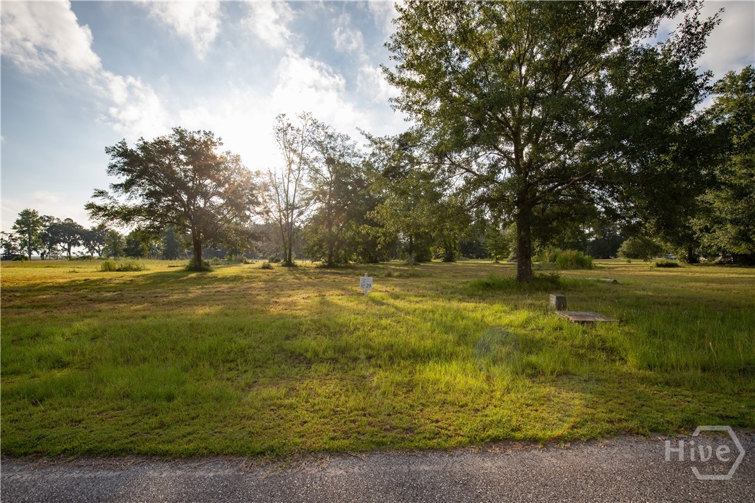 Lot #29 Tranquility Place Ne Property Photo 15
