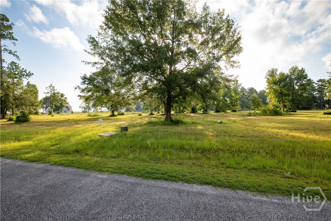 Lot #29 Tranquility Place Ne Property Photo 16