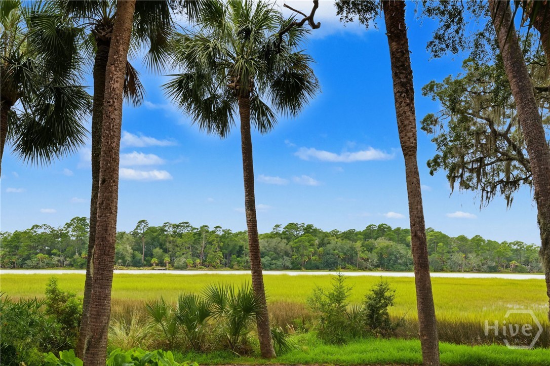 17 Mainsail Crossing Property Photo 62