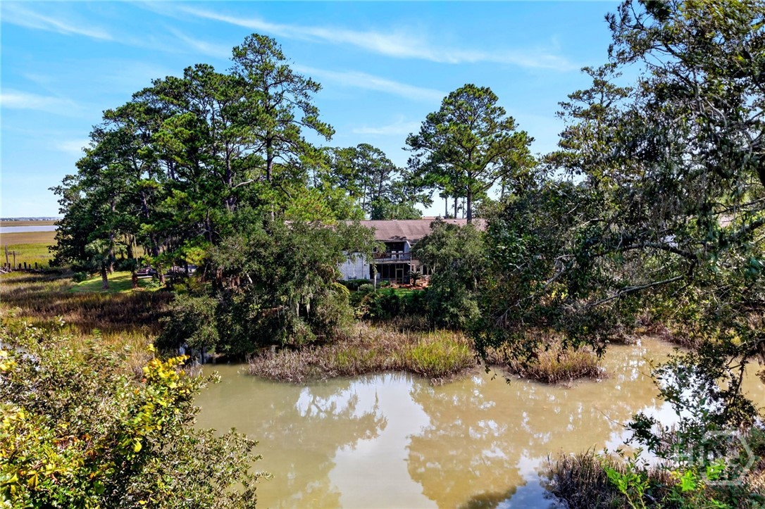 70 Bull River Bluff Drive 70 Property Photo 14
