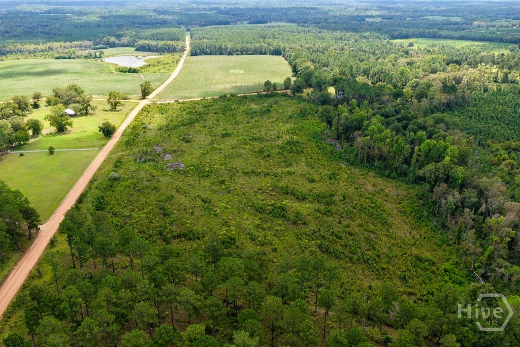 0 Hendricks Rd. & Watson Road Property Photo 4