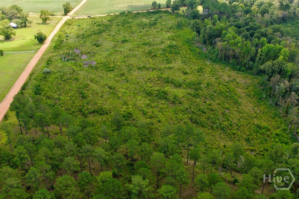 0 Hendricks Rd. & Watson Road Property Photo 5