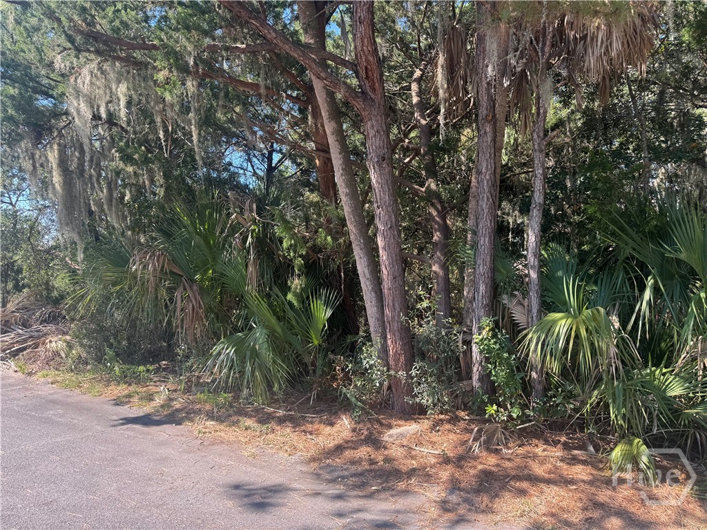 3 Shad Court Property Photo 3