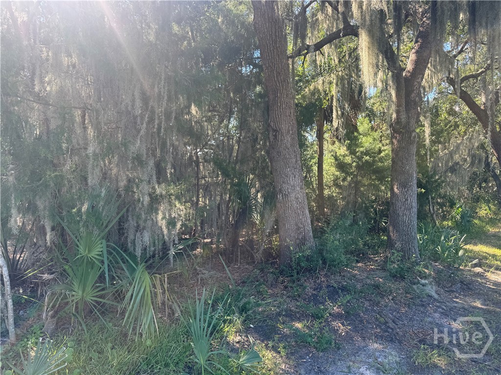 3 Shad Court Property Photo 4