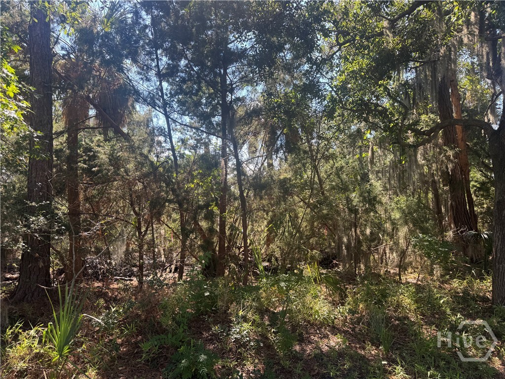 3 Shad Court Property Photo 5