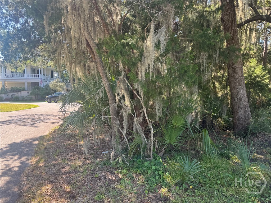 3 Shad Court Property Photo 6
