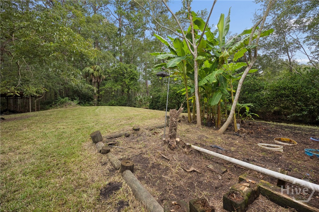 1425 Blythe Island Drive Property Photo 25