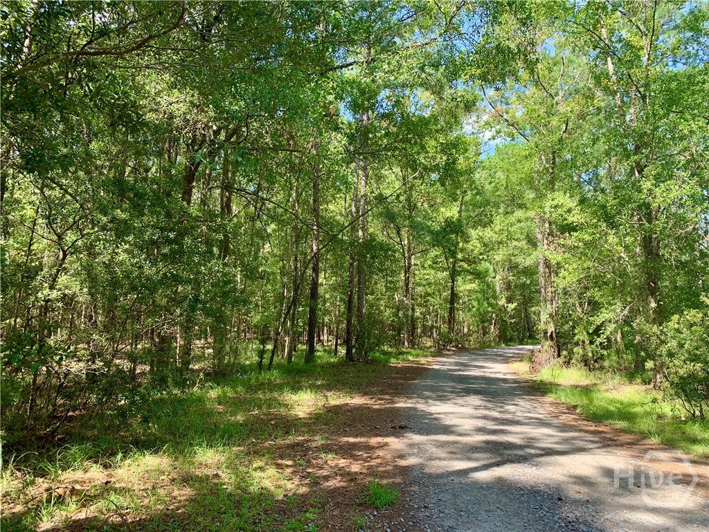 Lot 016 Lake No No Road Property Photo 1