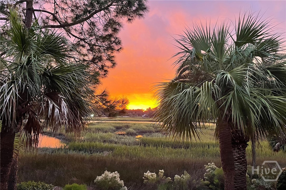 9 Egrets Nest Drive Property Photo 4