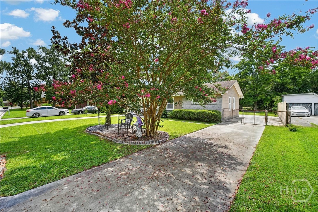 113 Gordon Street Property Photo 3