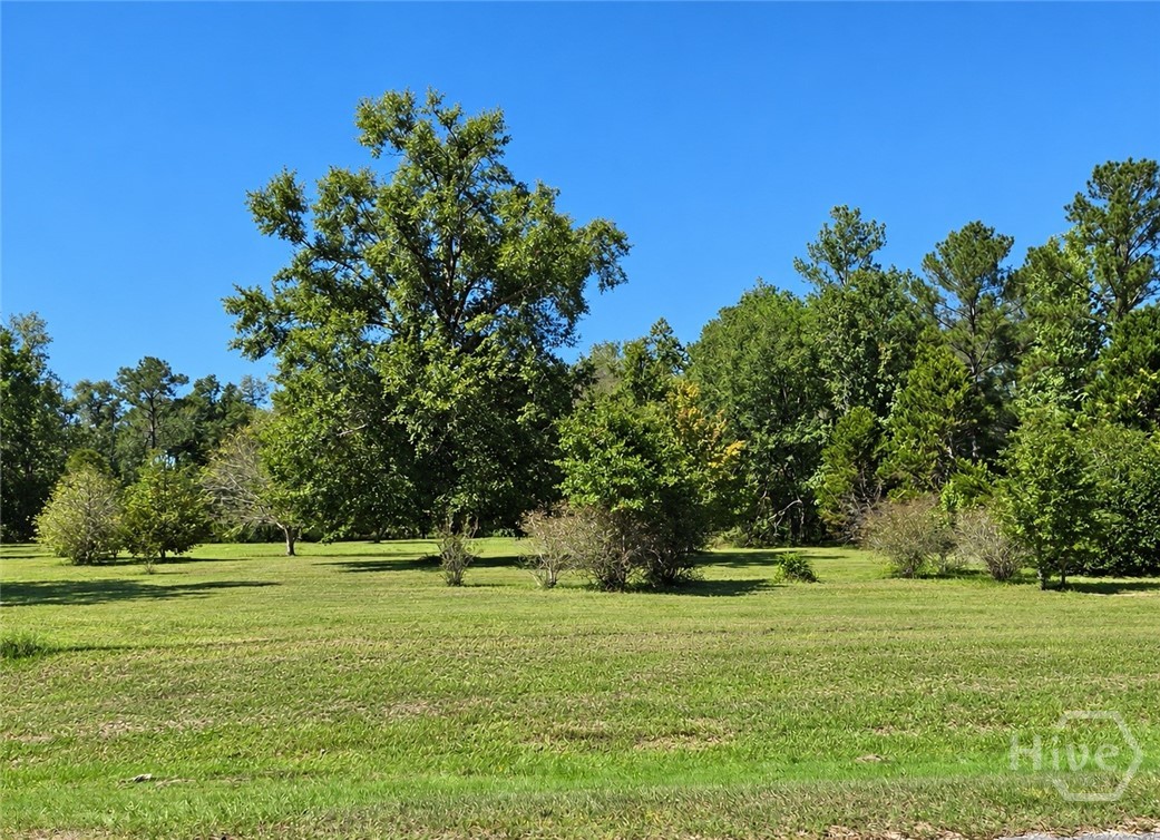 0 Hwy 280 Property Photo 1