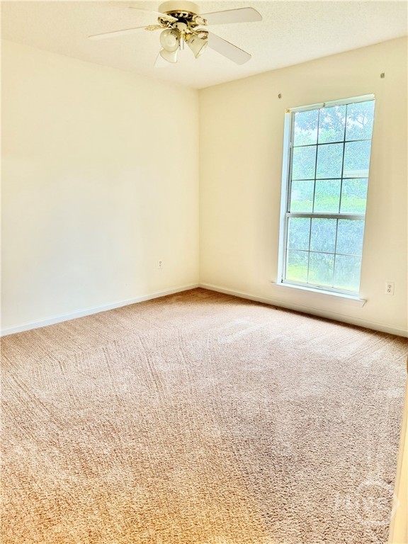 801 Hopeton Court Property Photo 16