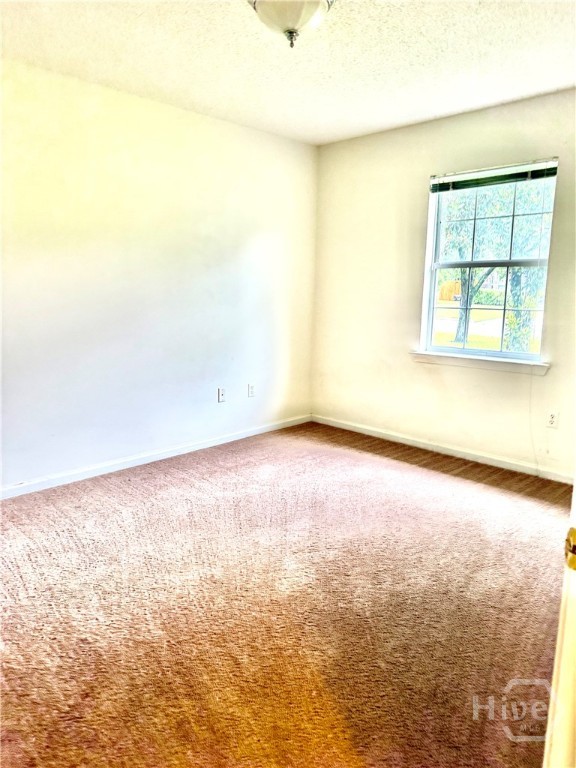801 Hopeton Court Property Photo 18