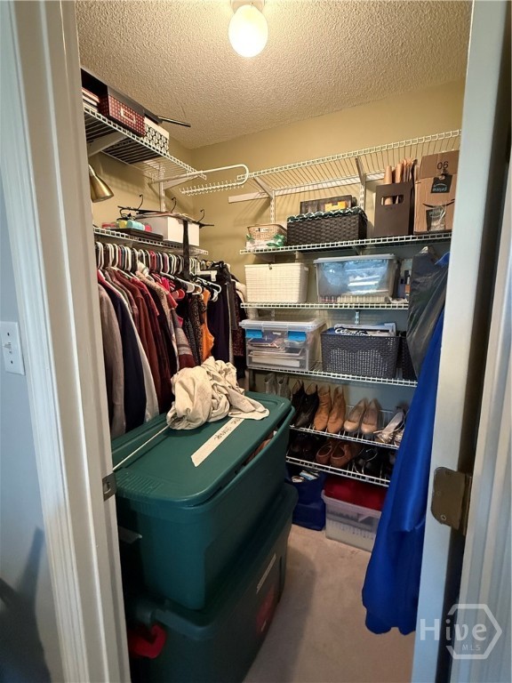 144 Arlington Court Property Photo 29