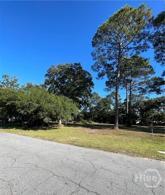106 Lewis Avenue Property Photo 3