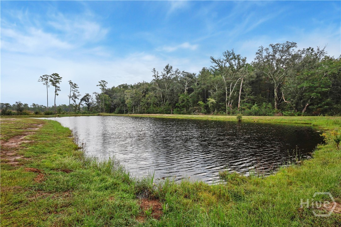 229 Blandford Crossing Property Photo 4