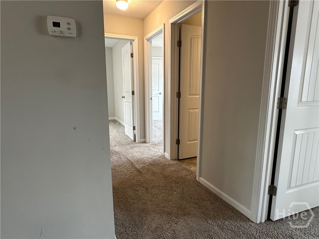 67 Daylily Court Property Photo 11