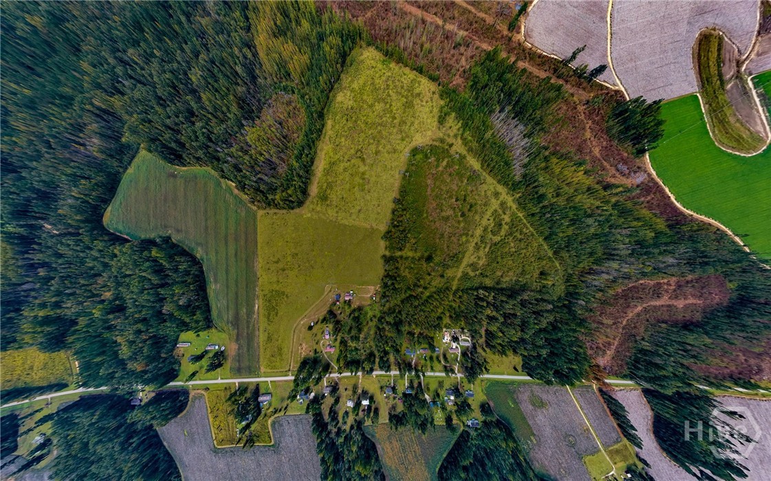 1031 Scott's Store Road Property Photo 6