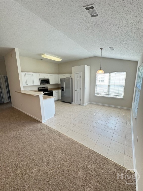 144 Arbor Village Drive Property Photo 4