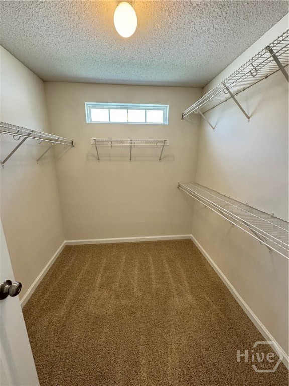 144 Arbor Village Drive Property Photo 17