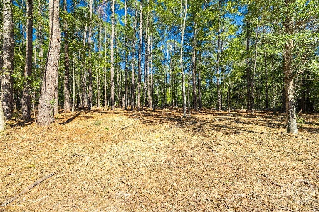 5590 Highway 17 Property Photo 1